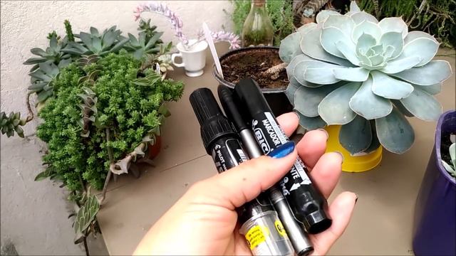 Cultivo da Morning light e as canetas permanentes que uso. смотреть онлайн