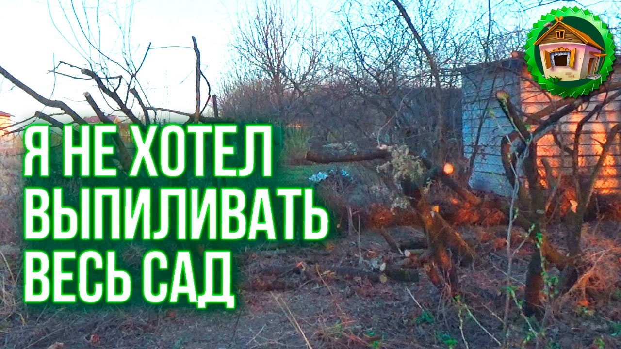 Я не хотел выпиливать весь сад. Как вы моете посуду? 68 серия смотреть онлайн