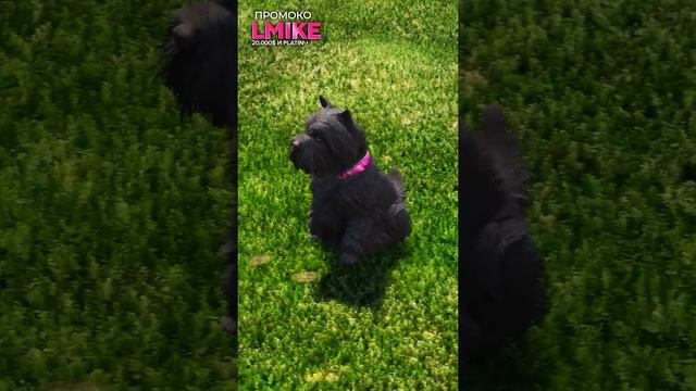 ?ПЕЧАЛЬНАЯ ПАСХАЛКА В GTA 5 MAJESTIC RP #shorts смотреть онлайн