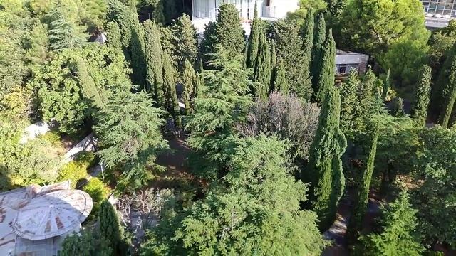 Кореиз, Крым 2019, Морской Прибой, отзыв.