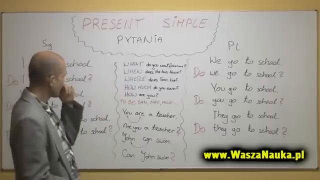 Present Simple - pytania смотреть онлайн