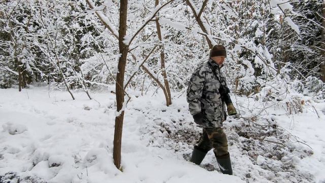 В СМЕШАННОМ ЛЕСУ ЗИМОЙ (Проверяем фотоловушки-2) смотреть онлайн