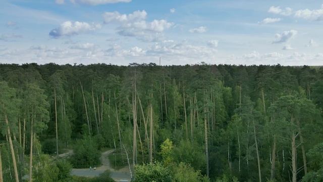 Лебяжье озеро. Казань смотреть онлайн