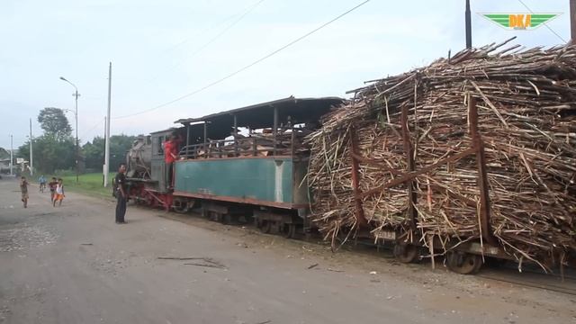 (Steam Locomotive Activity) TM VI, The Biggest Locomotive of Narrow Gauge In Indonesia! смотреть онлайн