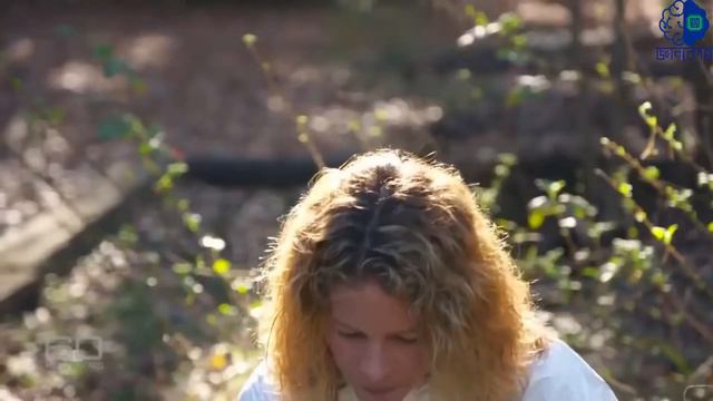 বডি ফার্ম || মৃতদেহ পচানোর কারখানা|| Body Farm || body farm by জ্ঞানকোষ смотреть онлайн