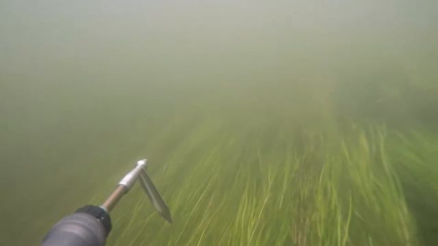 Река Нара Чеховский район Подводная охота тест снаряжения смотреть онлайн