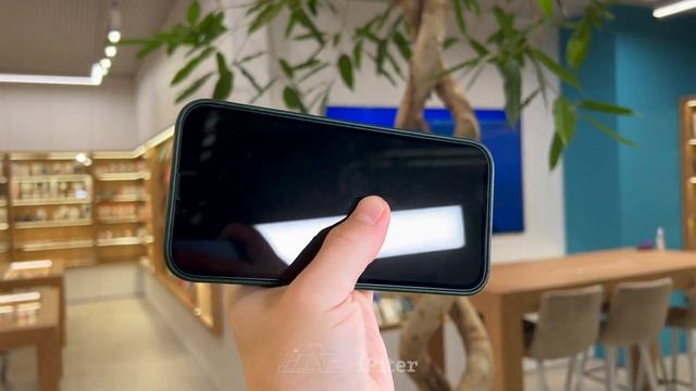 Чехол для смартфона Apple iPhone 13 Leather Case MagSafe (Зелёный) смотреть онлайн