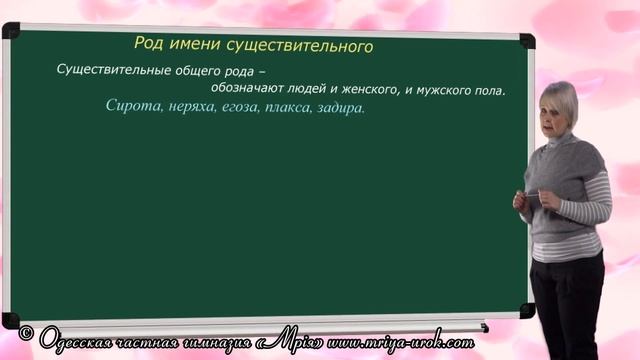 Род имени существительного смотреть онлайн