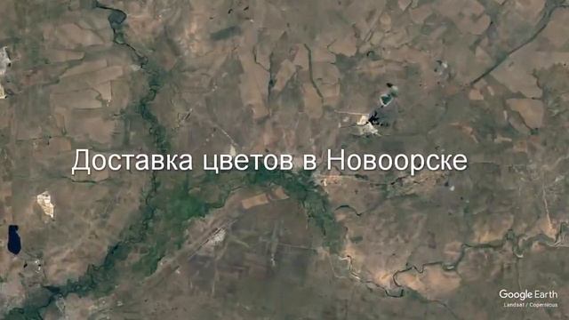 Доставка цветов в Новоорске - Заказ букетов от компании Скорая подарочная помощь смотреть онлайн