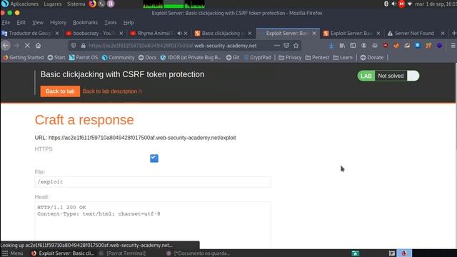 Basic clickjacking with CSRF token protection смотреть онлайн
