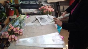 подготовка тюльпанов к розничной торговле/делаем букеты