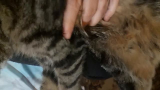 Сколько счётчиков на воду ставят в деревне. смотреть онлайн