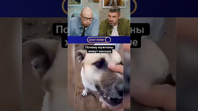 Cмех до слез (часть 7) Лучшие приколы и мемы 2024 смотреть онлайн