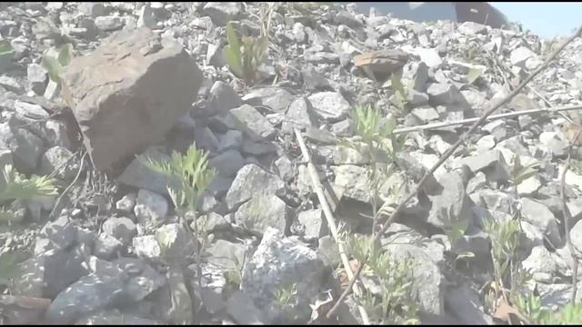 Toyota vitz RS Low (Владивосток) 2015 смотреть онлайн