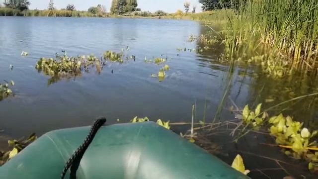 Рыбалка в Соль-Илецке 2019 смотреть онлайн