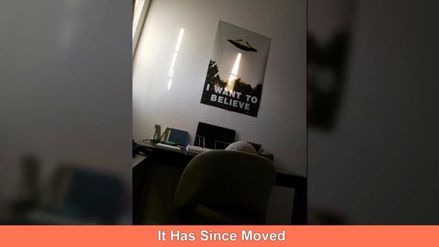 Incredible Coincidences You’ll Have To See To Believe |Bunny Boo смотреть онлайн
