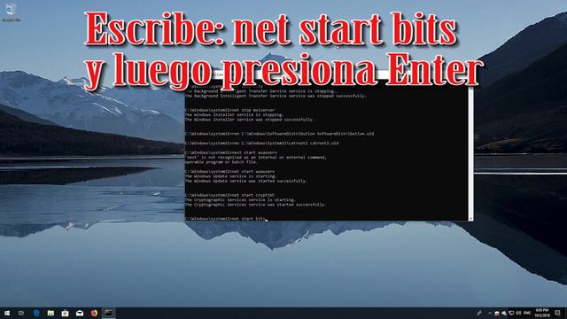 Solución al Codigo de Error 0x80248007 en Windows 10/8/7 - [4 Soluciones] смотреть онлайн