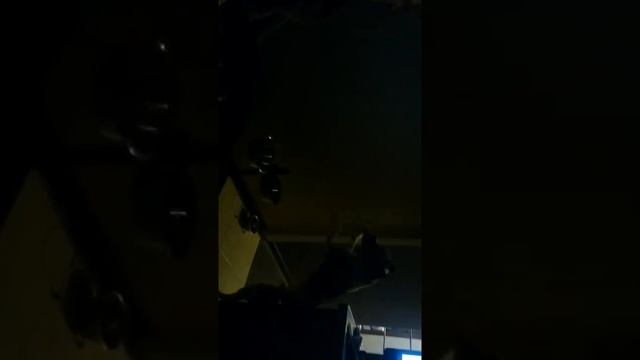 Амстафф Боря.Прикольный стафф. смотреть онлайн