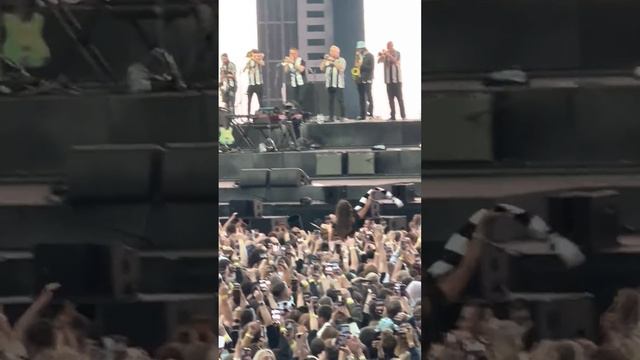 Sam Fender St James’ Park intro 🖤🤍🖤🤍 смотреть онлайн
