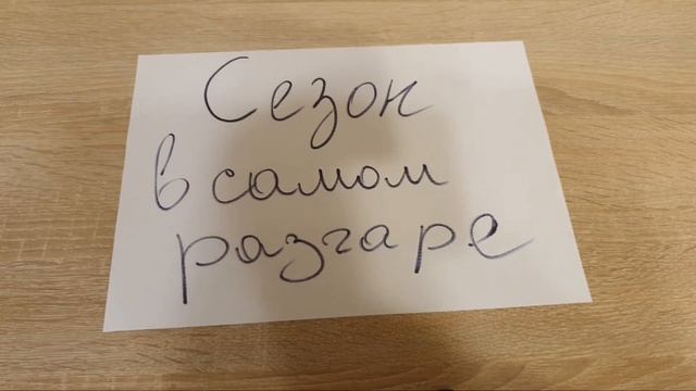 Антикварный сезон в самом разгаре!!!Снимаем сливки!!! смотреть онлайн