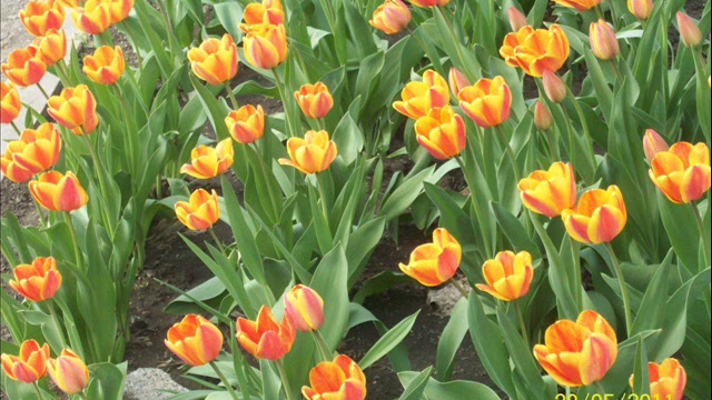 Предчувствие весны смотреть онлайн