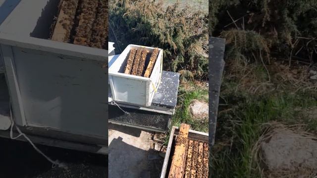 КАНАЛ-- ( МАКСИМ НИКУТКИН) = ПРИМЕР-- 4. смотреть онлайн