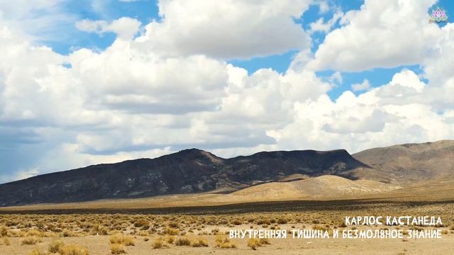Карлос Кастанеда. Внутренняя тишина и безмолвное знание. Эзотерическое учение дона Хуана. смотреть онлайн