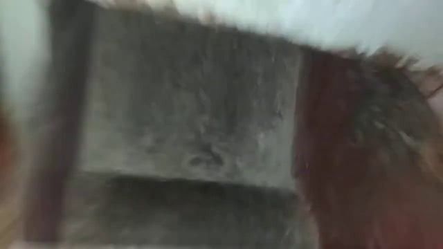 Обзор на мусоропровод смотреть онлайн