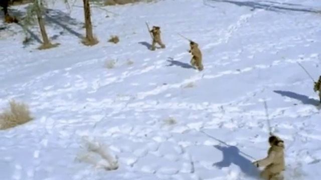 Мегалоцер ( Прогулки с чудовищами )