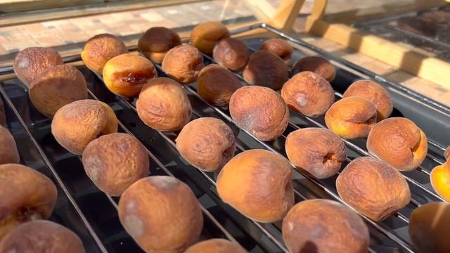 Сушка абрикосов целиком, с косточкой, натуральным способом смотреть онлайн