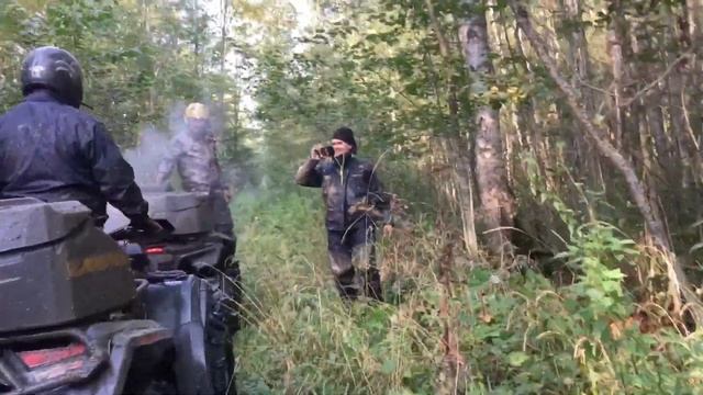 Новгородская дома11.09.2019. смотреть онлайн