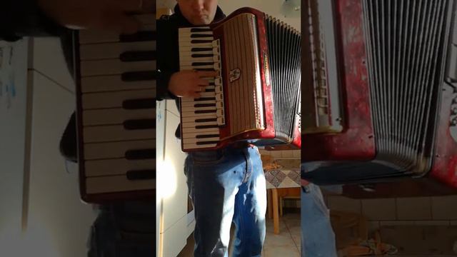 Akordeon weltmeister 120 смотреть онлайн