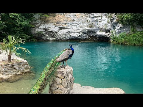 Едем на озеро Рица. Часть 2. Голубое озеро. смотреть онлайн