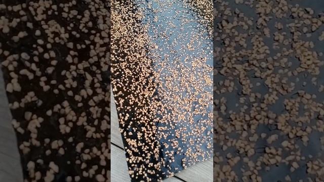 подложка Парколаг