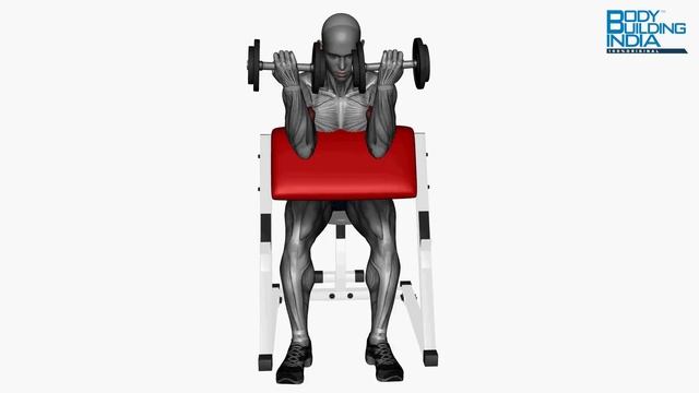 Biceps Workout | Exercise 32 | Preacher Curl Dumbbells Simultaneous | Bodybuilding India