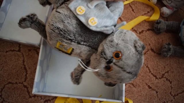 Новый Бэби Басик!!!!Обзор на новую игрушку! смотреть онлайн