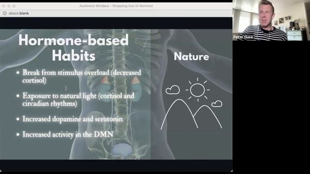 Stepping Out of Burnout Part 2: Regulate Your Nervous System смотреть онлайн