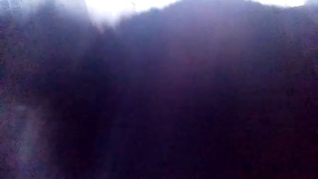 Бездомный пёс 🐕 😖, но он знает команды 😮 ❓❕ смотреть онлайн