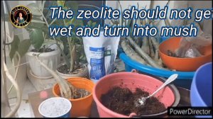 ГРУНТ ДЛЯ АДЕНИУМОВ. ОСНОВНЫЕ СОСТАВЛЯЮЩИЕ ГРУНТА.