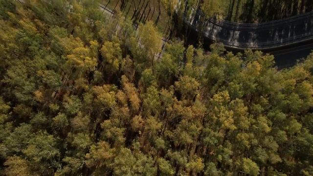 Клип на песню «Мы - Единая Россия» смотреть онлайн