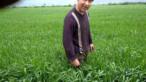 ремонт бортовой и моста ДТ 75