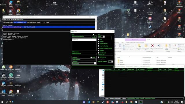 Что делать если не работает NgRok?
