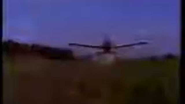 В листата на алое вера смотреть онлайн