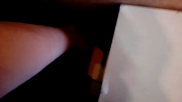 Сибирский кот Тишка играет с палочкой смотреть онлайн