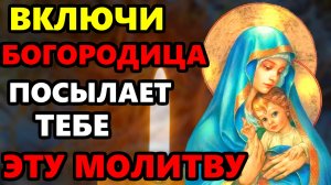 23 ноября ПРОЧТИ 1 РАЗ ПРЯМО СЕЙЧАС И ПРОСИ ЧТО ПОЖЕЛАЕШЬ! Сильная Молитва Богородице! Православие