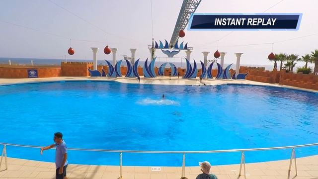 Турция - не только для взрослых! Дельфинарий в Алании и мини-клуб в MC Arancia Resort смотреть онлайн