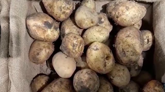 НЕ СПЕШИТЕ ВЫБРАСЫВАТЬ остатки обоев! ЧТО МОЖНО СДЕЛАТЬ смотреть онлайн