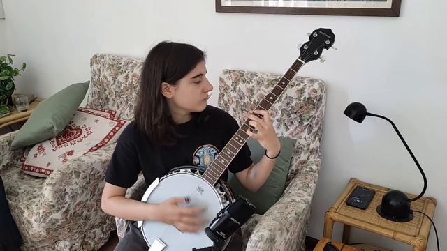 La Paura Del Buio (Måneskin) - banjo play along смотреть онлайн