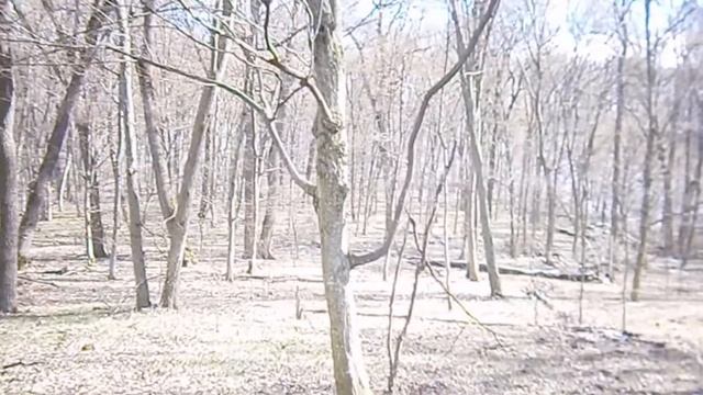 КУПИЛ МЕТАЛЛОИСКАТЕЛЬ, В ПОИСКАХ СОКРОВИЩА. смотреть онлайн