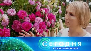 «Сегодня в Санкт-Петербурге»: 19 июля 2024 года
